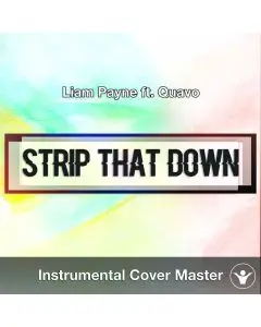 Liam Payne Ft. Quavo - Strip That Down (Instrumental Cover)
