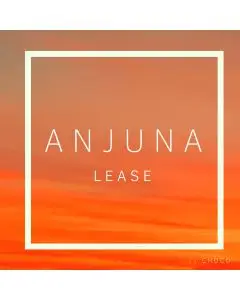 Anjuna Lease | Ableton Template