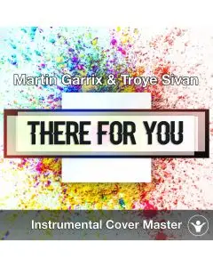 Martin Garrix & Troye Sivan - There For You (Instrumental Cover)