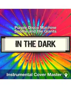 In The Dark - Purple Disco Machine - Instrumental Cover