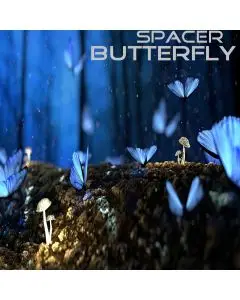 Spacer - Butterfly