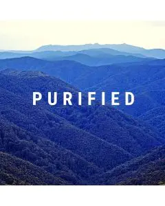 Purified Style | Nora En Pure  - Premium Progressive House 