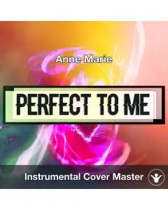 Anne Marie - Perfect To Me (Instrumental Cover)