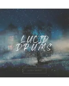 Lucid Drums