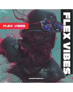 Flex Vibes