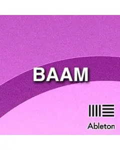 BAAM
