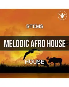 Melodic Afro House