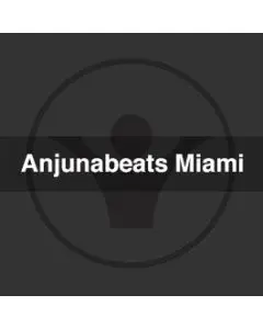 Anjunabeats In Miami