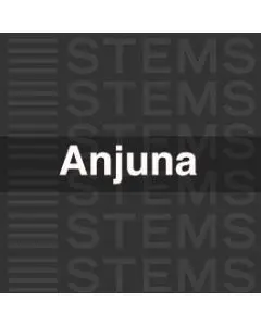Anjuna Progressive  STEMS Mastering