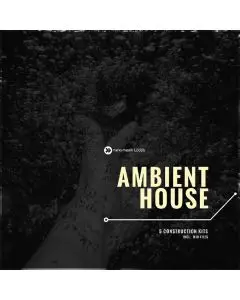 Ambient House