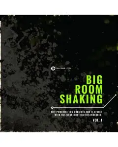 Big Room Shaking Vol 1