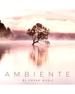 Ambiente
