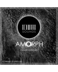 Deep Melodic Techno "Amorph" Cubase Template 2