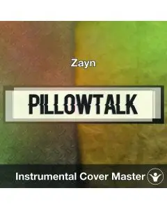 Zayn - Pillow Talk (Instrumental Cover)