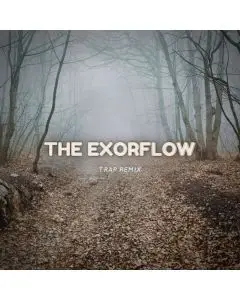 The exorflow