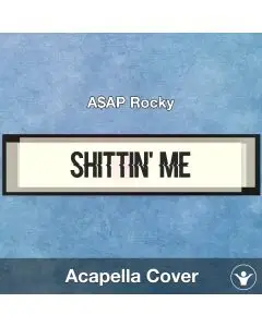 Shittin' Me - A$AP Rocky - Instrumental Cover