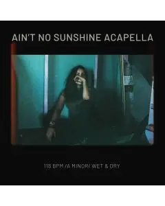 Ain't No Sunshine - Acapella Cover