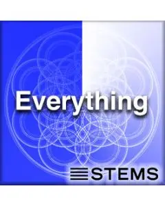 Everything (Club) - Stems