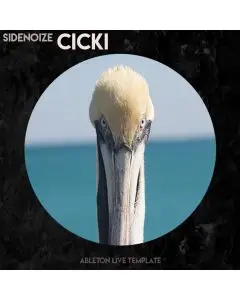 Tech House Ableton Template - Cicki