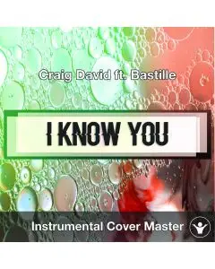 Craig David ft. Bastille - I Know You (Instrumental Cover)
