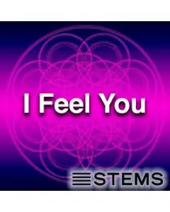I Feel You Tonight STEMS