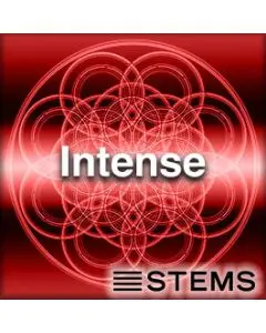 Intense - STEMS