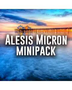Mini Loop Pack Alesis Micron