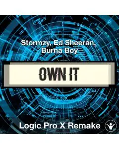 Own It (Stormzy, Ed Sheeran, Burna Boy) Logic X Remake Template