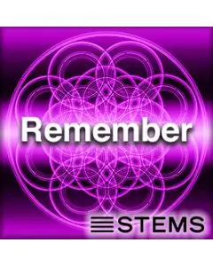 Remember STEMS
