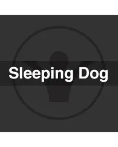 Sleeping Dog Remix