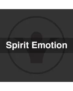 Spirit Emotion (X Mix)