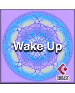 Wake Up BroStep - Exclusive Full License