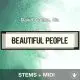 Beautiful People - David Guetta, Sia - Stems+Midi