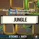 Jungle - Alok, The Chainsmokers, Mae Stephens - STEMS+MIDI