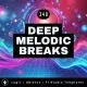 Deep Melodic Breaks Template for Logic, Ableton, Fl Studio | Live Electronic Music Tutorial 348