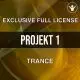 Projekt 1 FL STUDIO FULL LICENSES